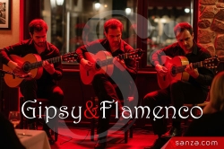 Flamenco Andalou | RueduSpectacle.com